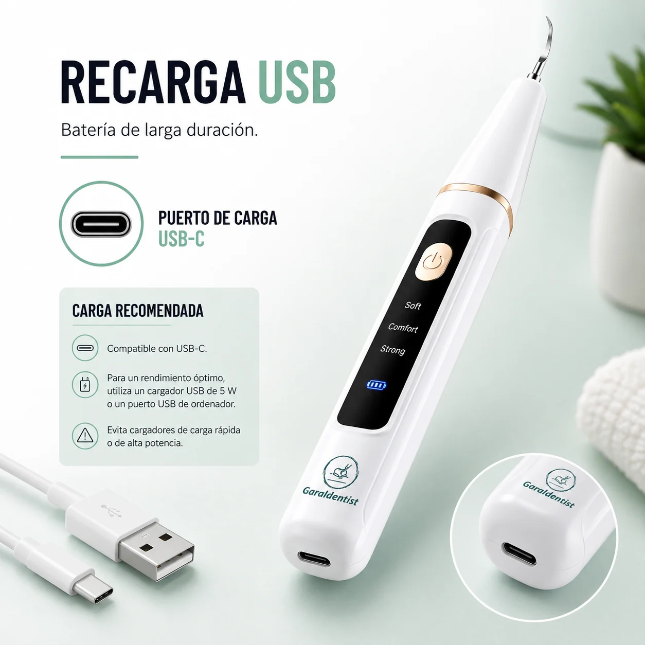 Limpiador dental Garaldentist con accesorios